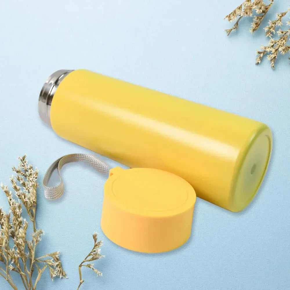 Insulated Stainless Steel Bottle